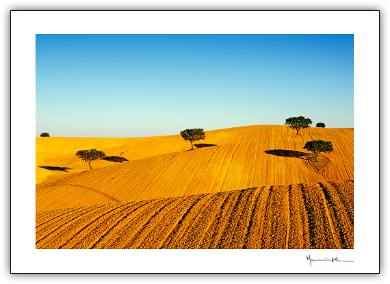 Plancie, Alentejo #5