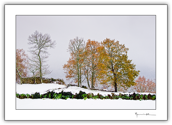 Terras de Barroso #26