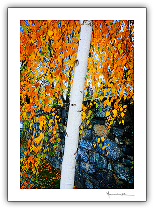 Tr�s-os-Montes #11