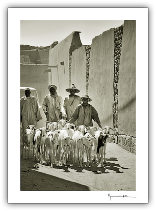 Timbuktu, Mali #19