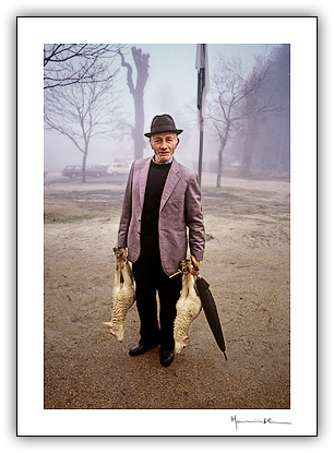 Feira de gado, Trancoso #1