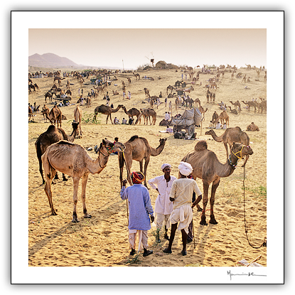 Pushkar, ndia #2