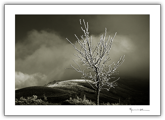 Trs-os-Montes #10