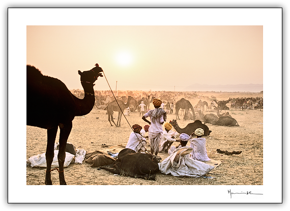 Pushkar, ndia #1