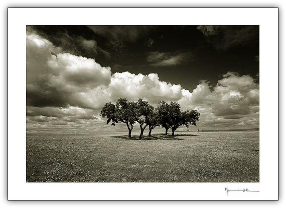 Plancie, Alentejo #2
