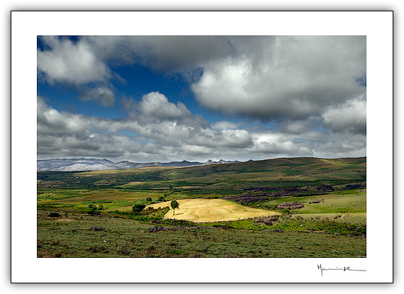 Pit�es das J�nias, Barroso #14