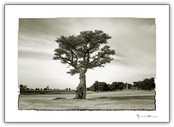 Sgou, Mali #1