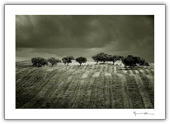 Plancie, Alentejo #9