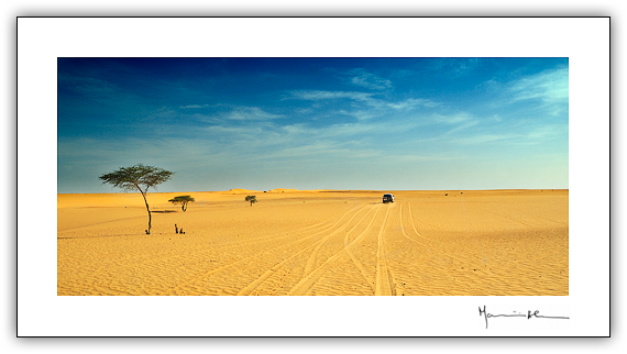 Deserto do Sahara, Mauritnia #17