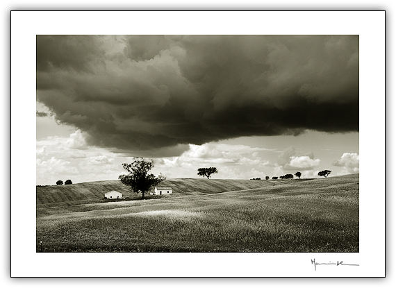 Plancie, Alentejo #1