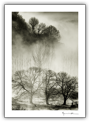 Trs-os-Montes #3