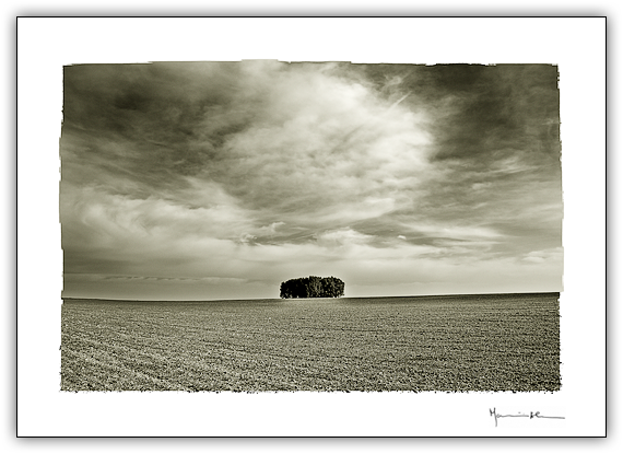 Plancie, Alentejo #7